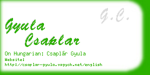 gyula csaplar business card